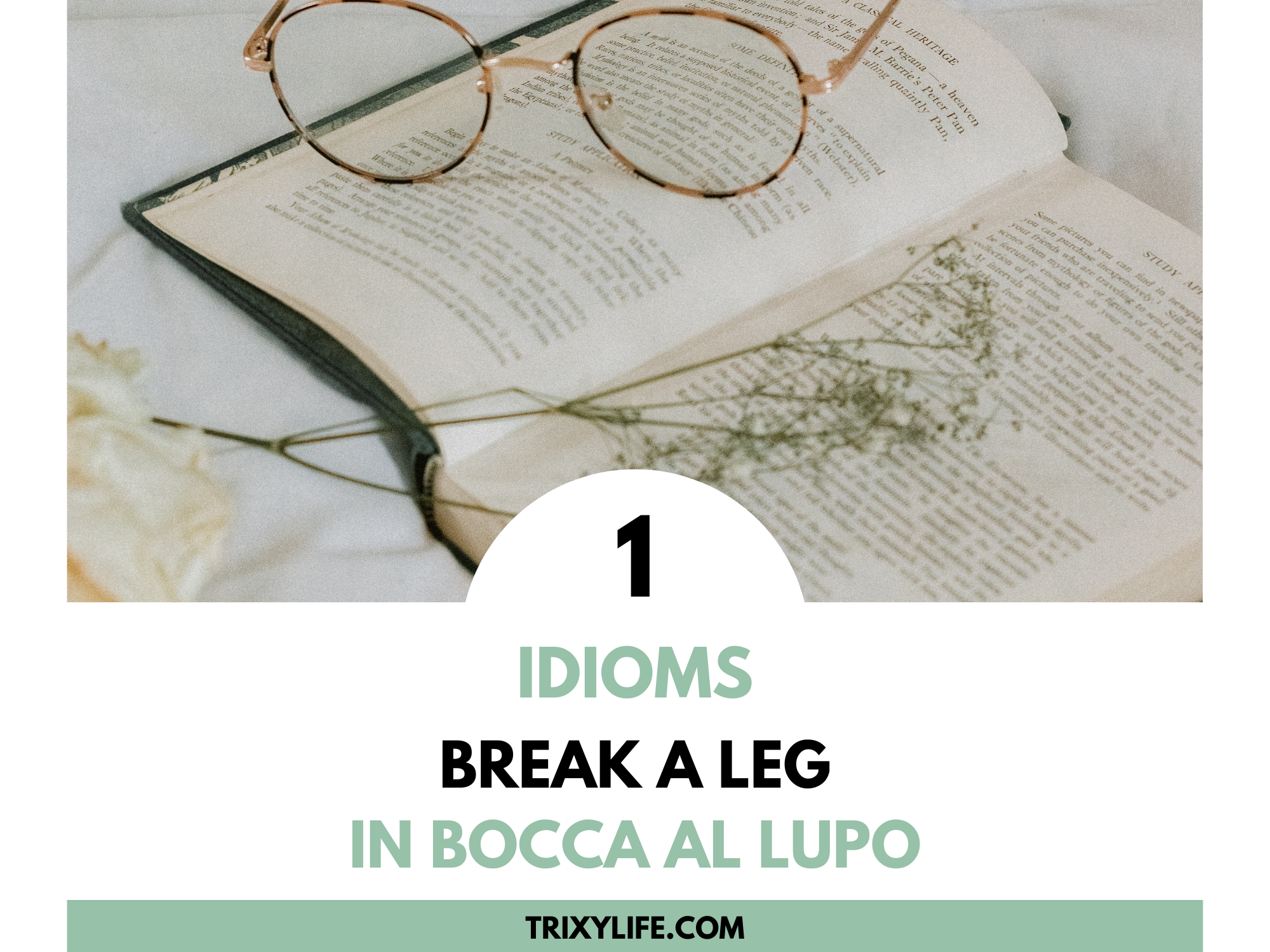 The fascinating world of idioms