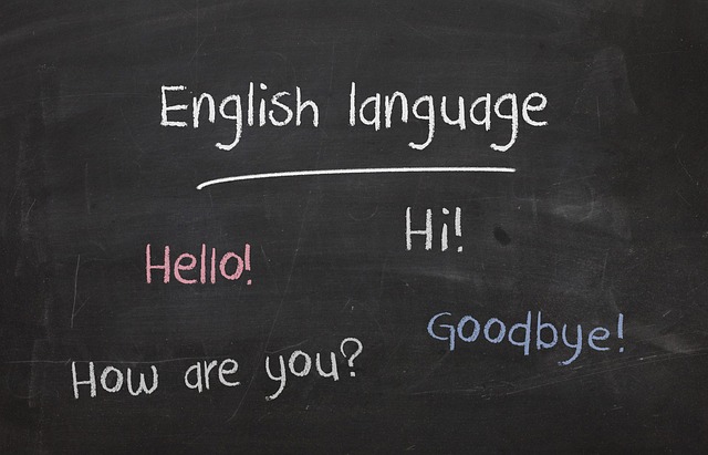 5 Essential steps for learning a new language in your 30s: a personal journey