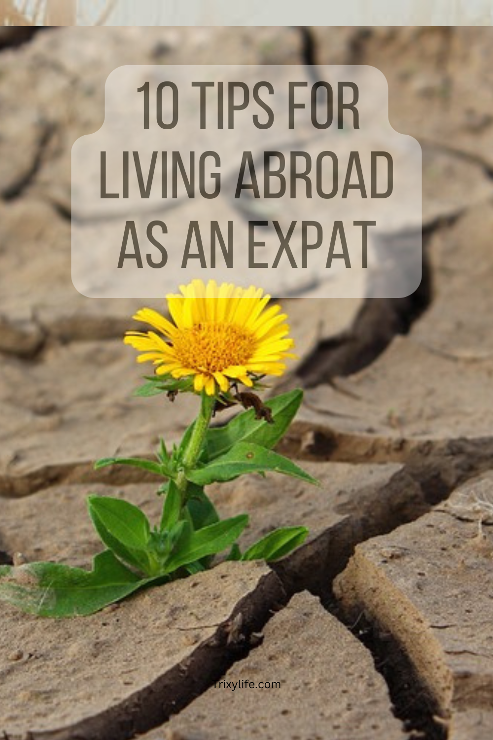 10 Tips for living abroad as an expat