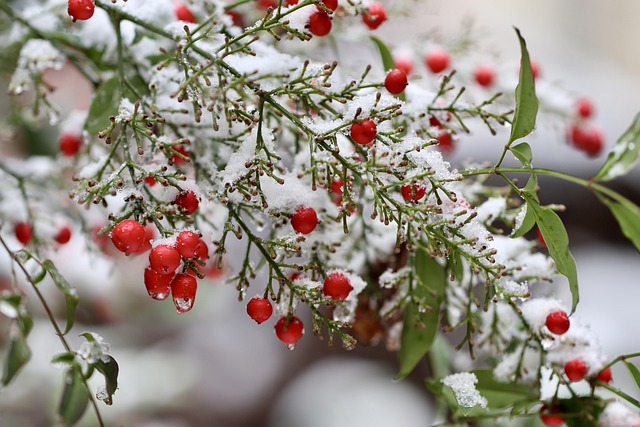 10 Winter self-care for women: embrace the season and stay energized