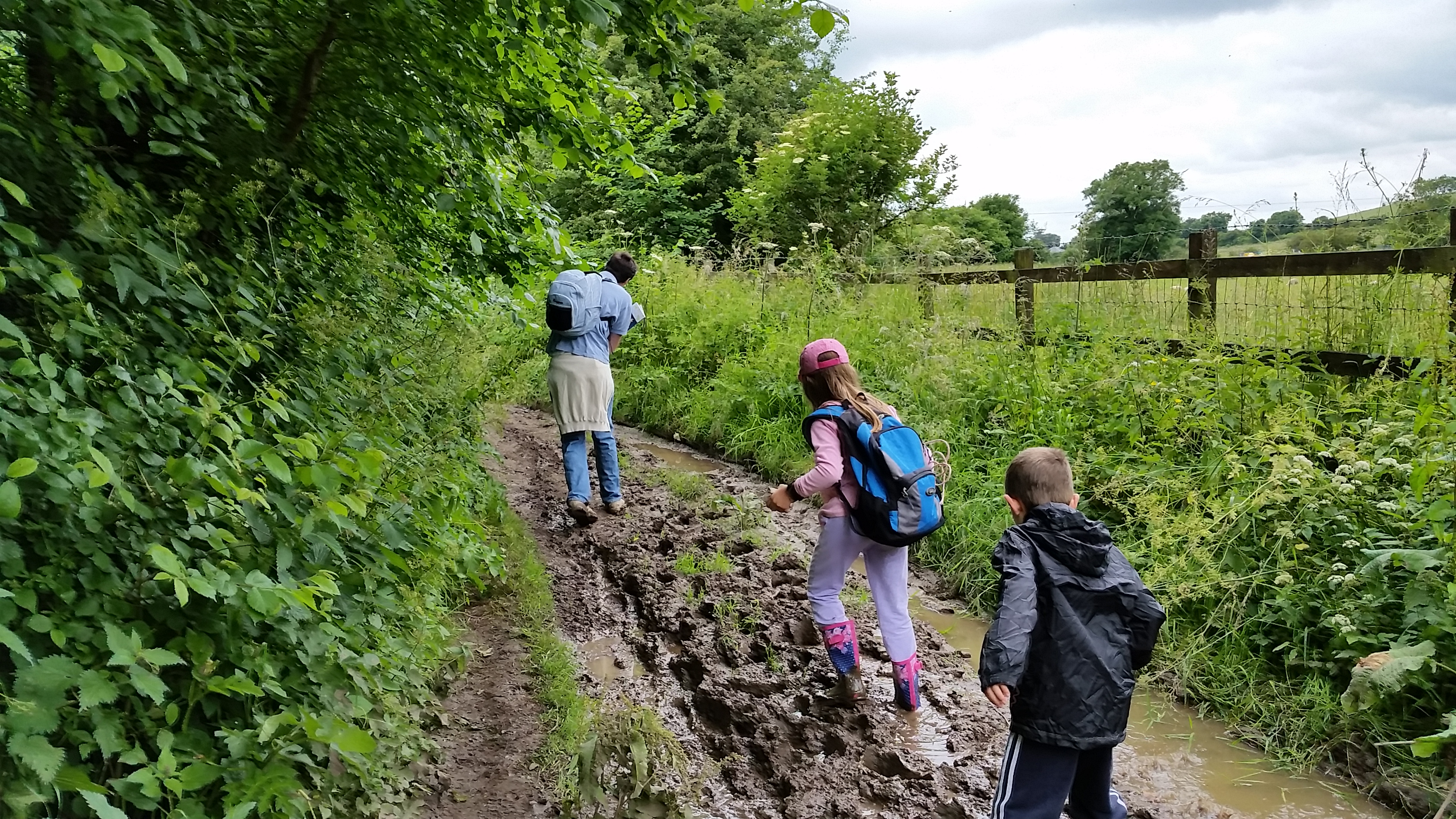 11 Essential safety tips for hiking adventures with family