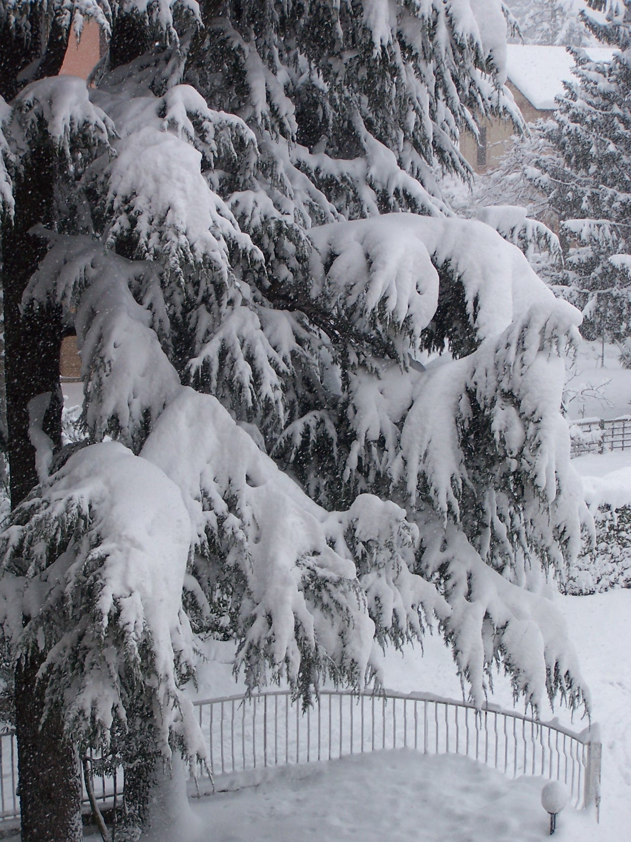 9 Ways to thrive during the short winter days
