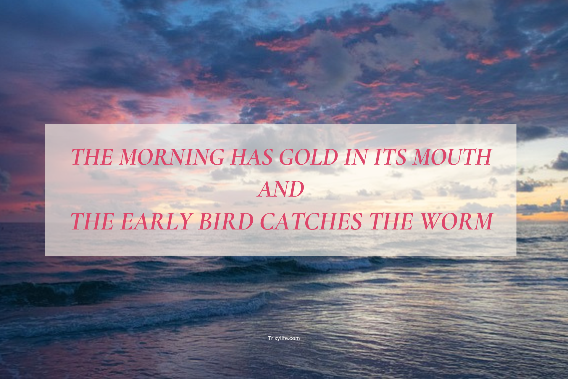 The morning has gold in its mouth and the early bird catches the worm