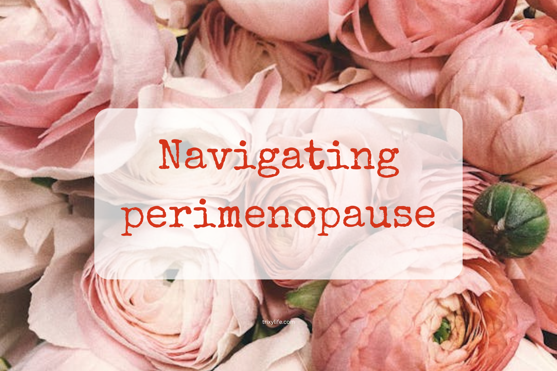 Navigating perimenopause