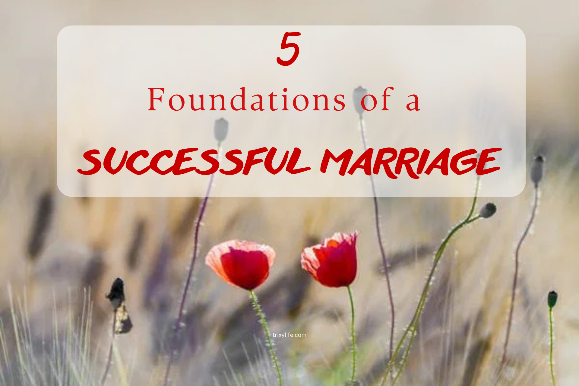 5 Foundations of a successful marriage