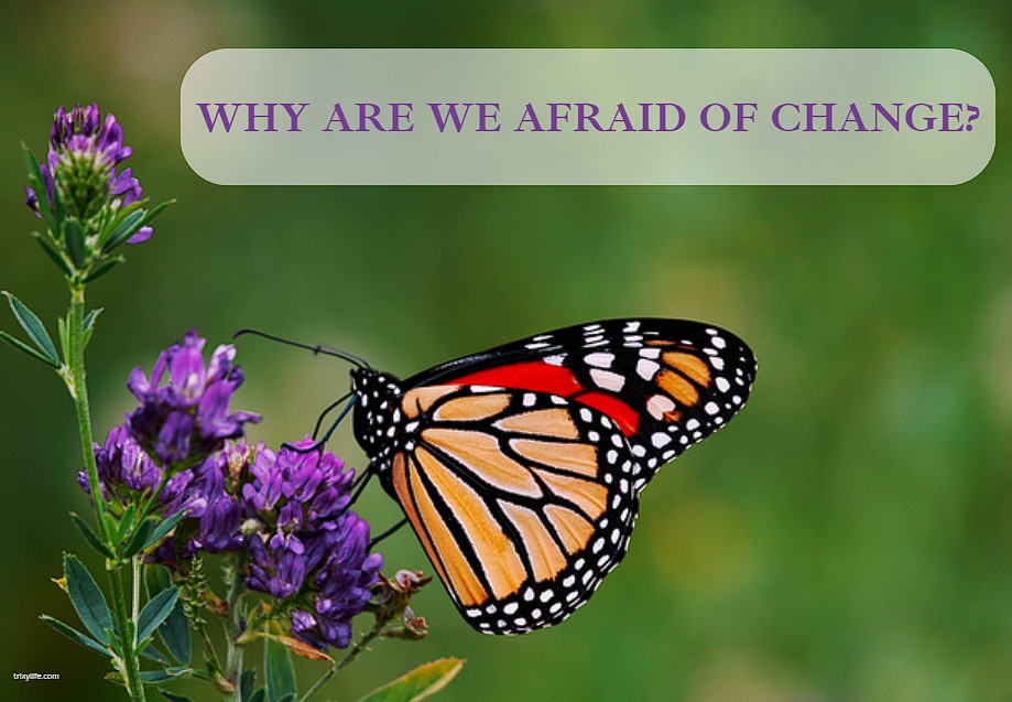 Why are we afraid of change?