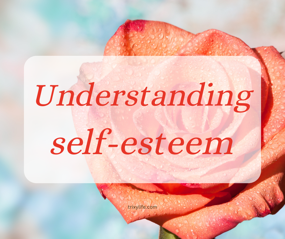 Understanding self-esteem